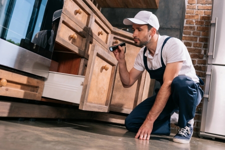 How Often Should You Schedule Pest Control in Jupiter, FL? Thumbnail